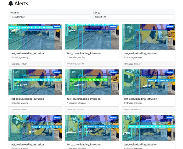Vidaria AI Real-Time Alerts