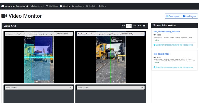Vidaria AI Live Detection View